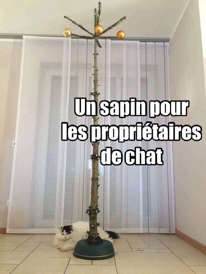 Un sapin pour les proprietaires de chat