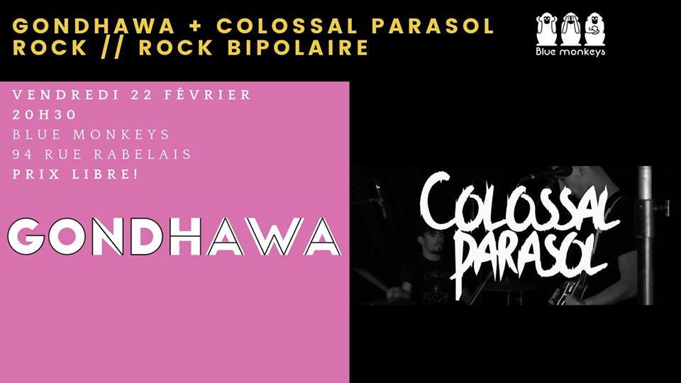 Colossal Parasol|Blue Monkeys