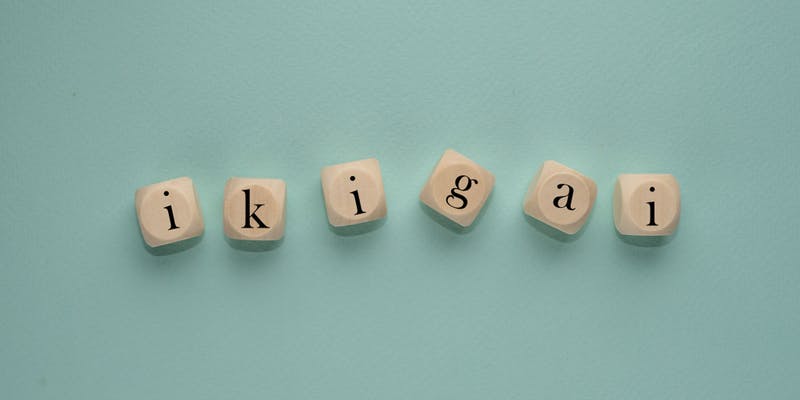 L'Ikigai pour vous aider à trouver votre riaons d'être profesionelle